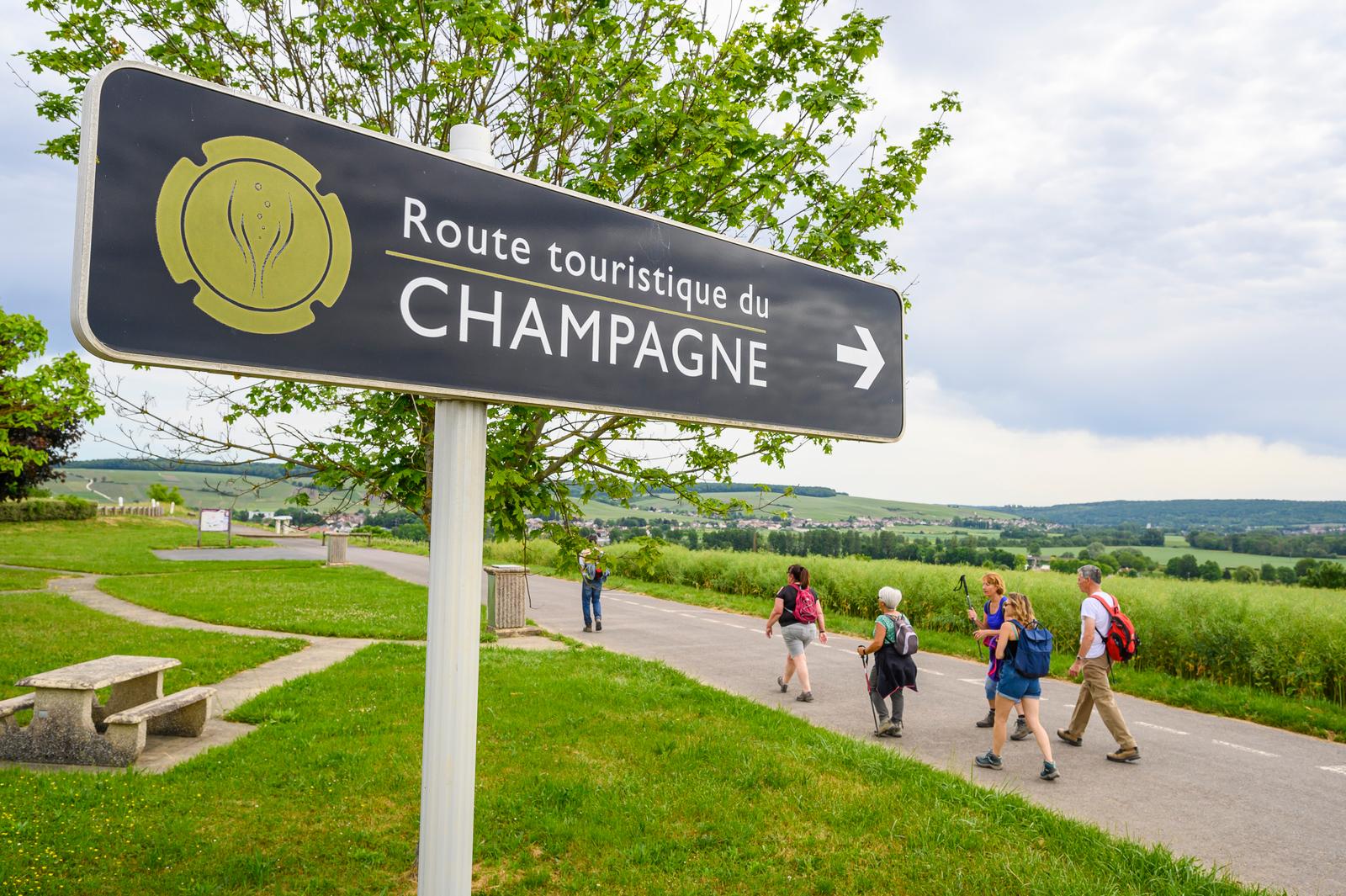Vallée de la Marne - Randonée dans le vignoble - 33