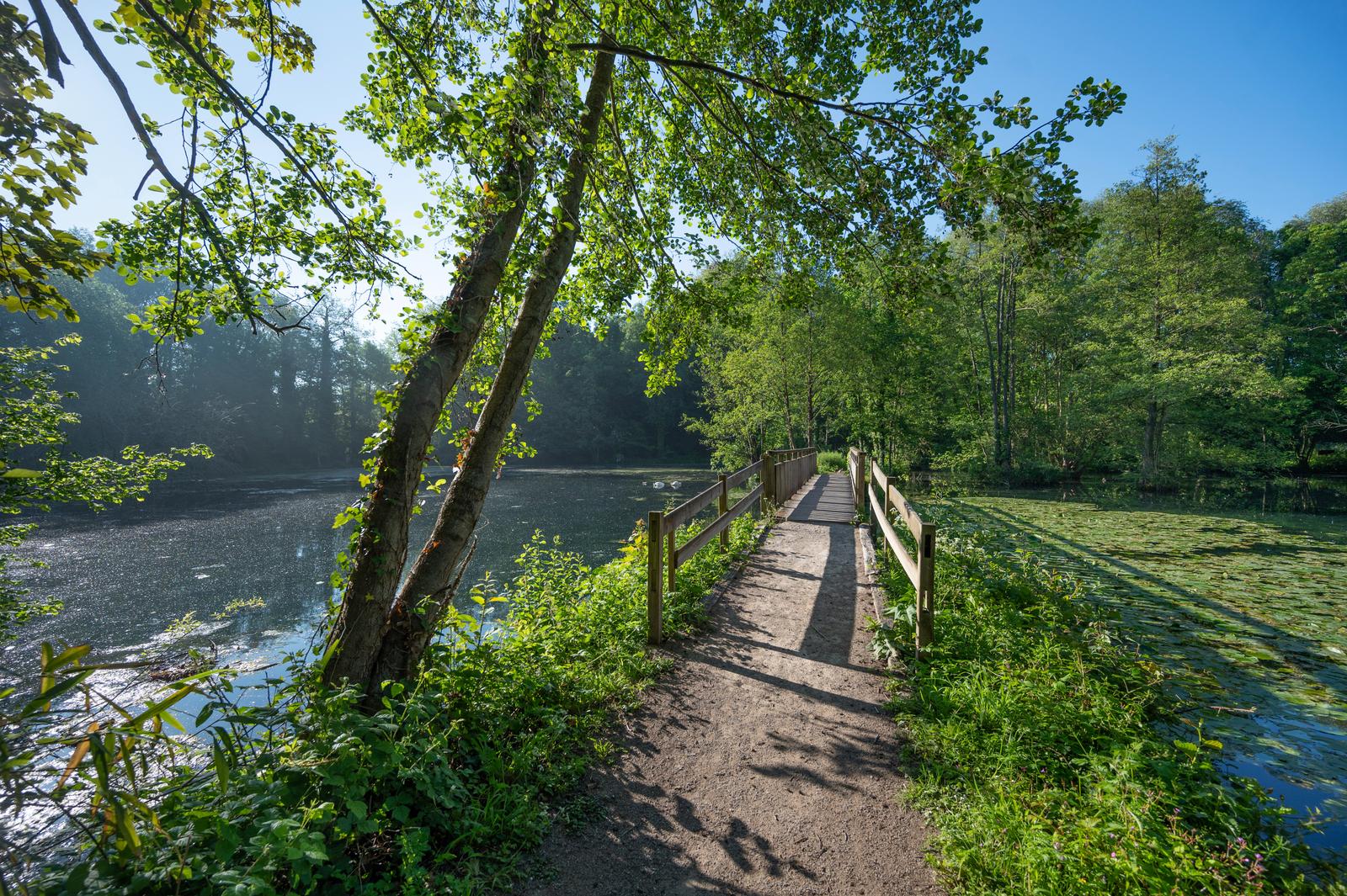 Abbeville : parc de la Bouvaque 02