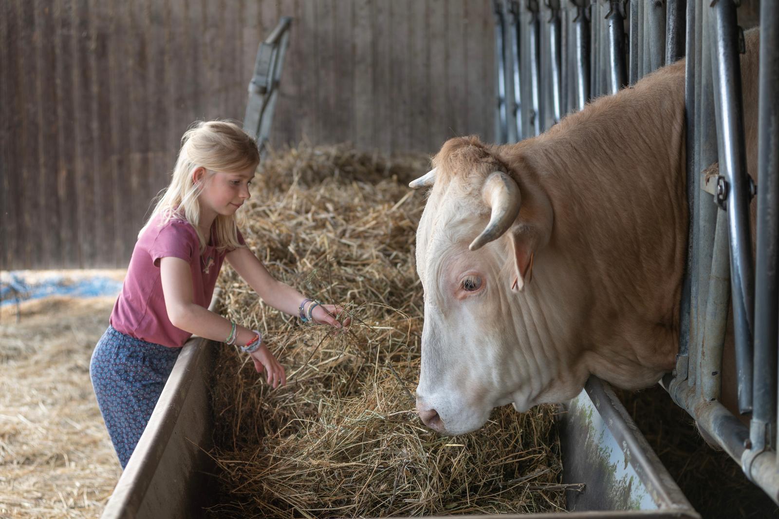 Méréaucourt : yourtes de la ferme Les Reines des Prés 46