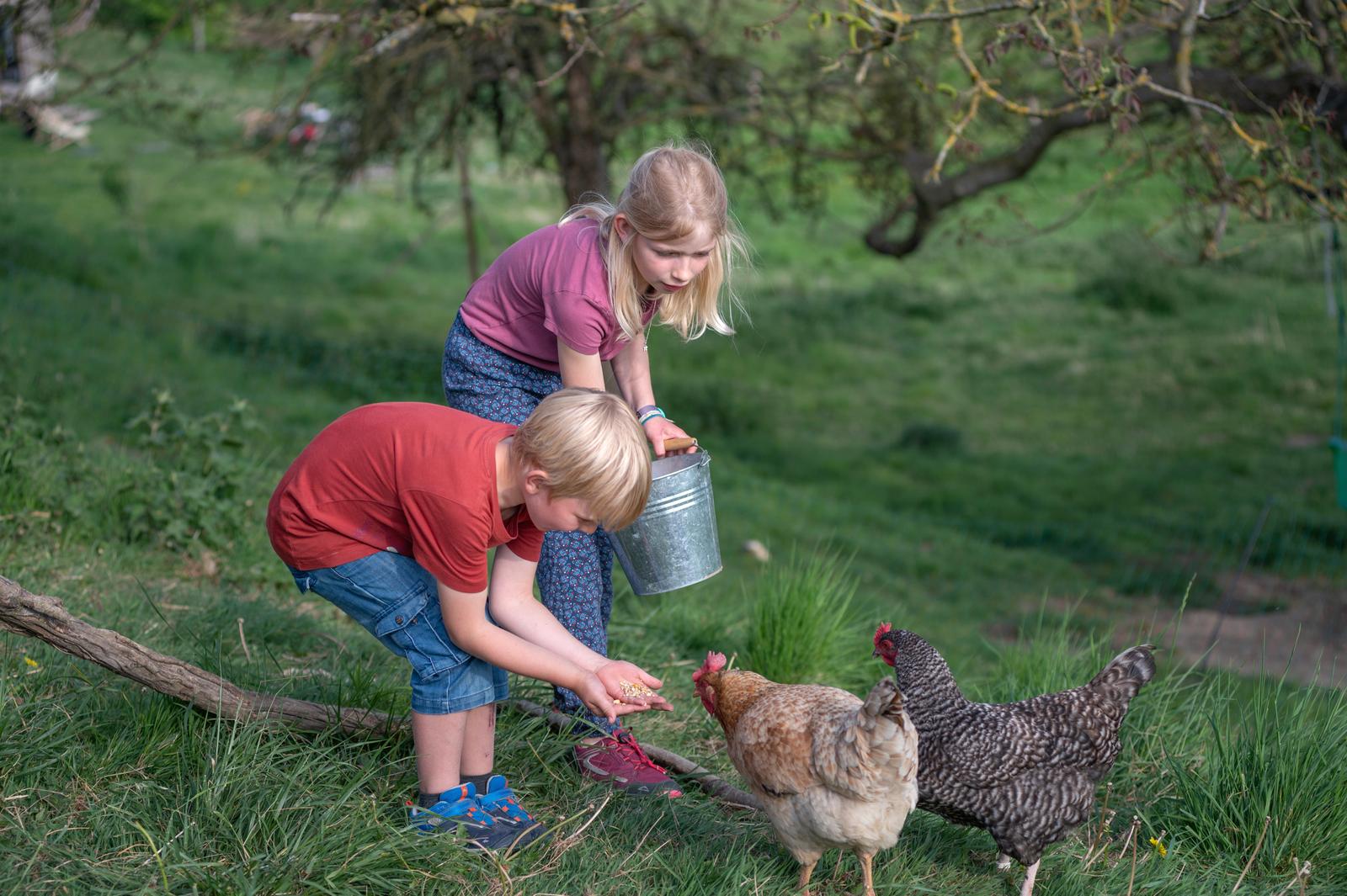 Méréaucourt : yourtes de la ferme Les Reines des Prés 48