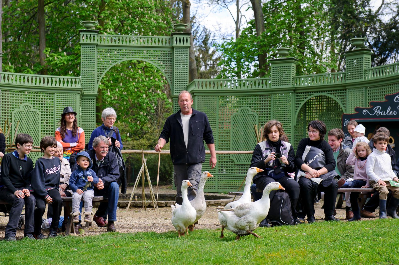 Chantilly - Le potager des Princes