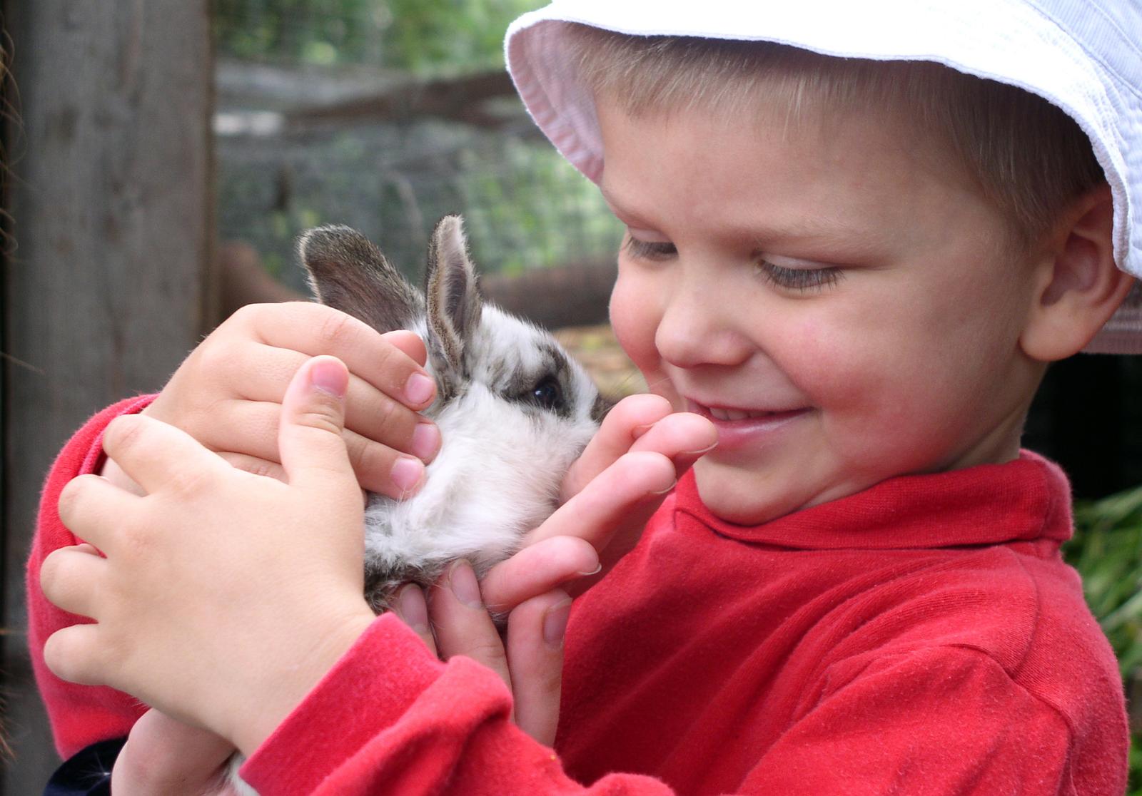 enfant et lapin © Vaida - Fotolia