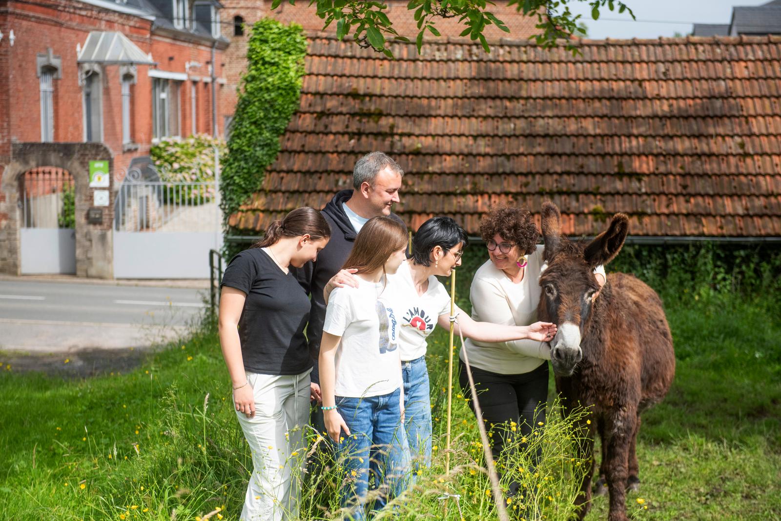 Maresches : balade en famille à la rencontre des ânes au gîte "Bouton d'or" 01