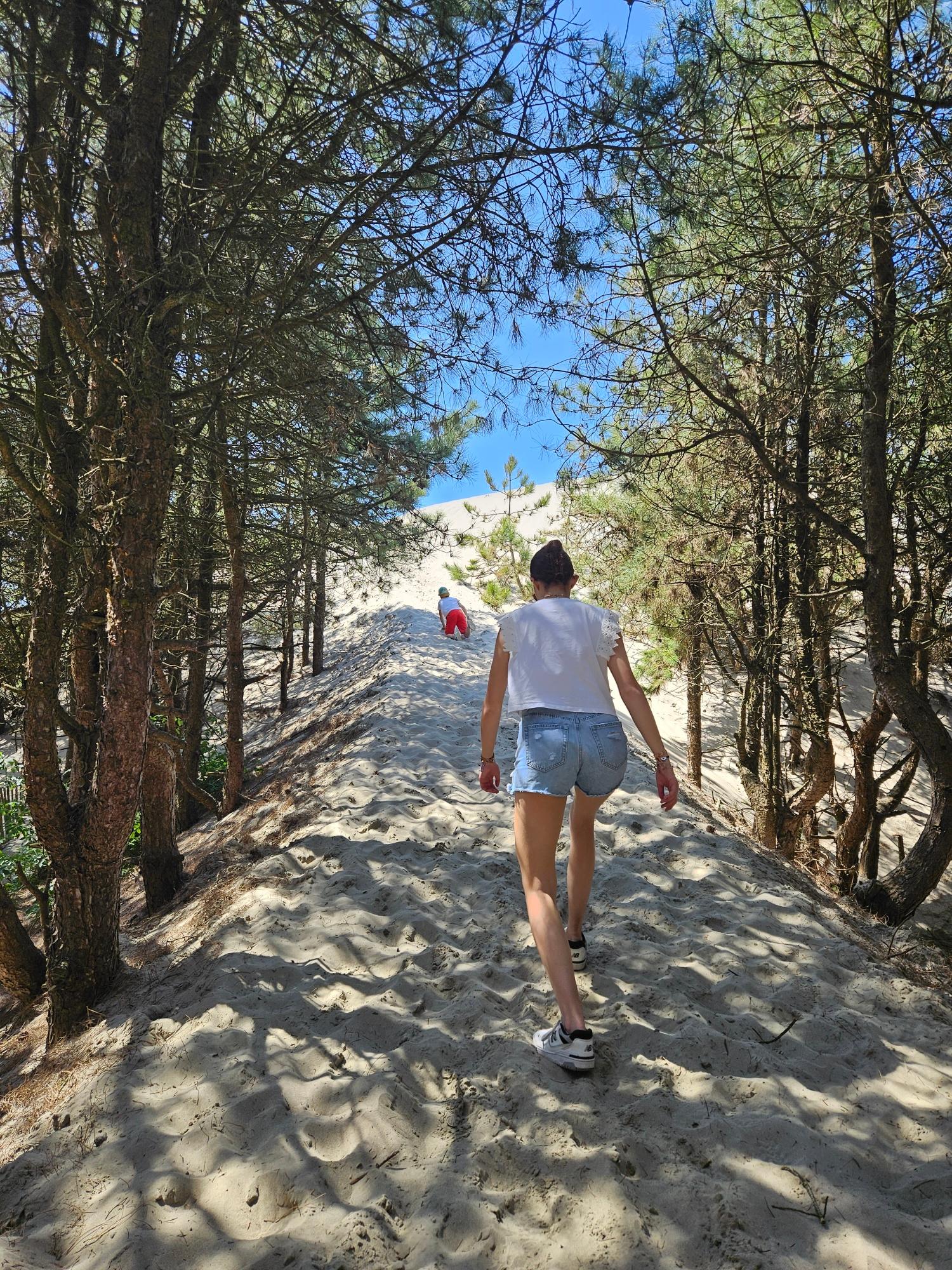 Saint-Quentin-en-Tourmont : sentier d'accès à la mer 04