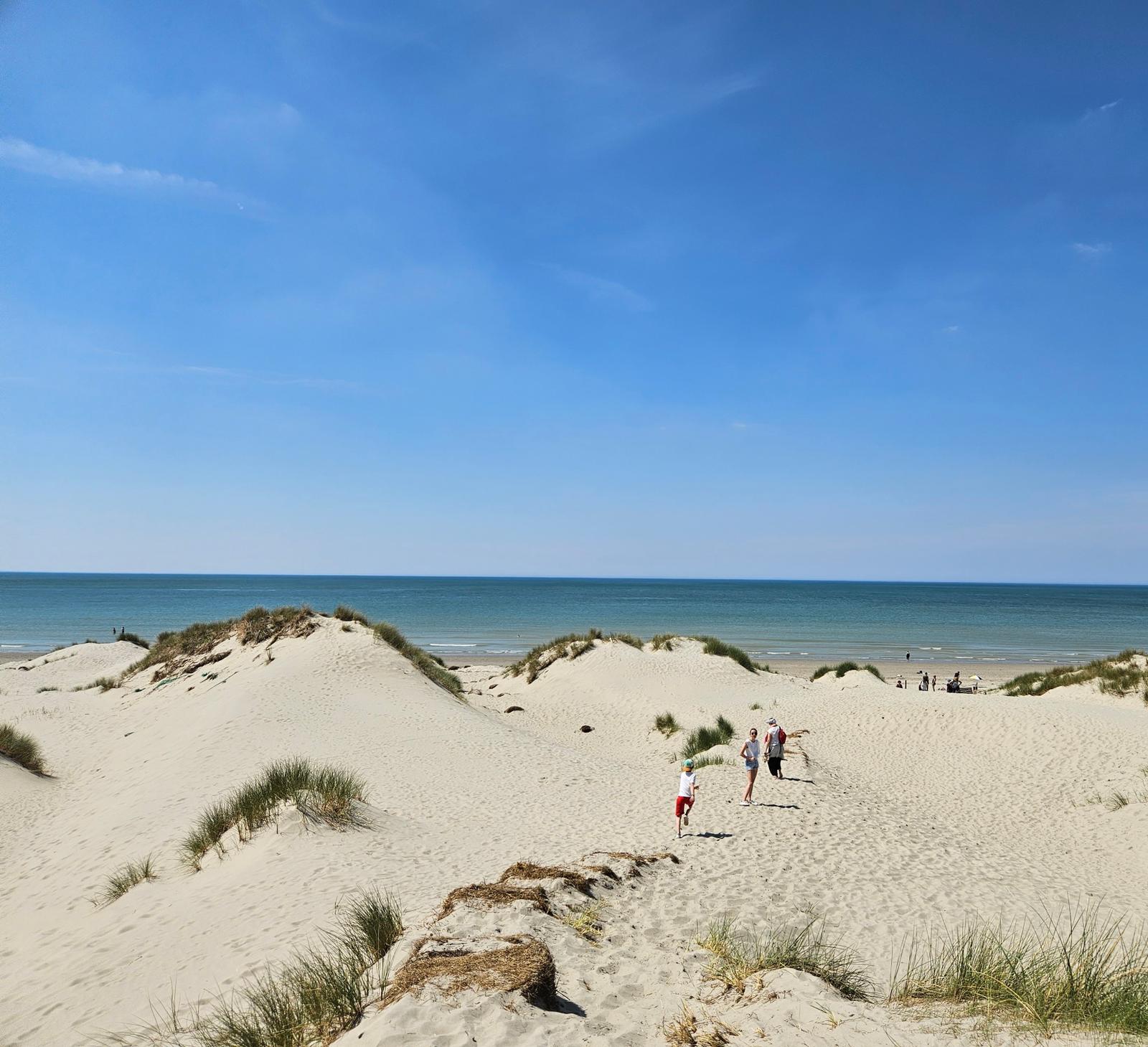 Saint-Quentin-en-Tourmont : sentier d'accès à la mer dans les dunes 01