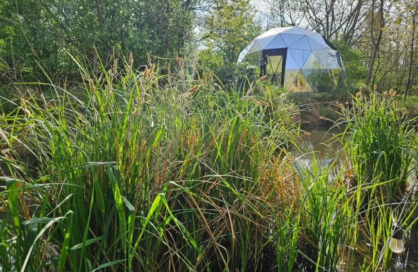 Saint-Quentin-en-Tourmont : Ecolodges en Baie de Somme 141