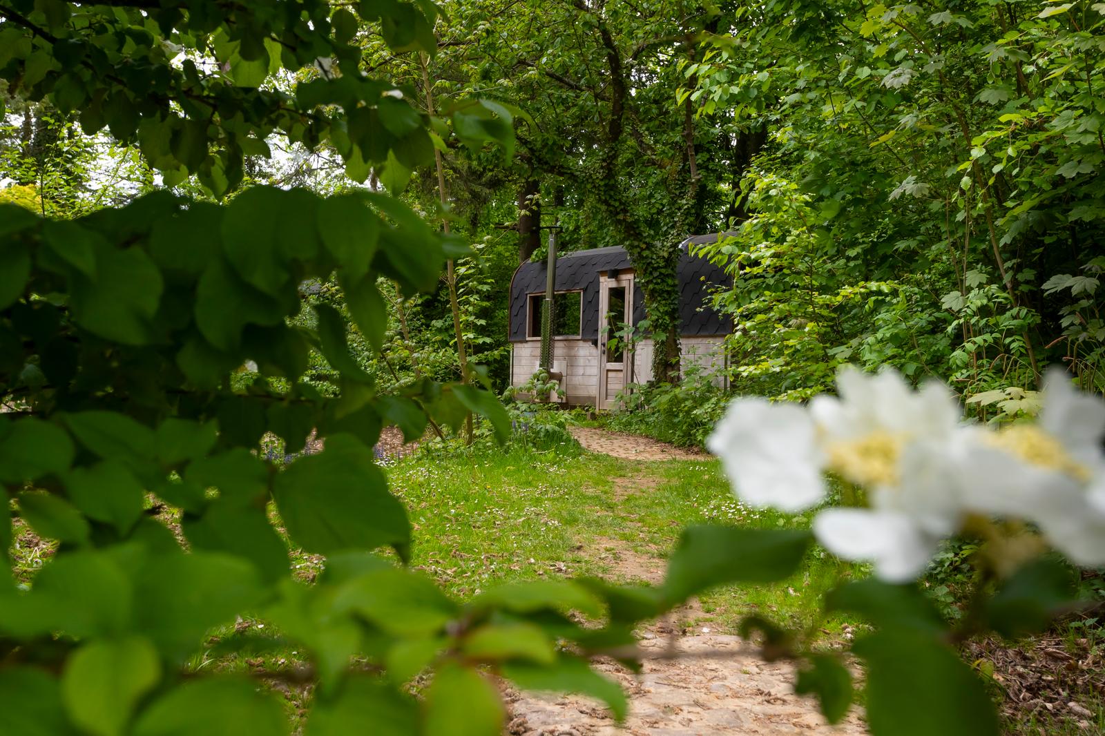 Wail : le domaine de Wail 16
