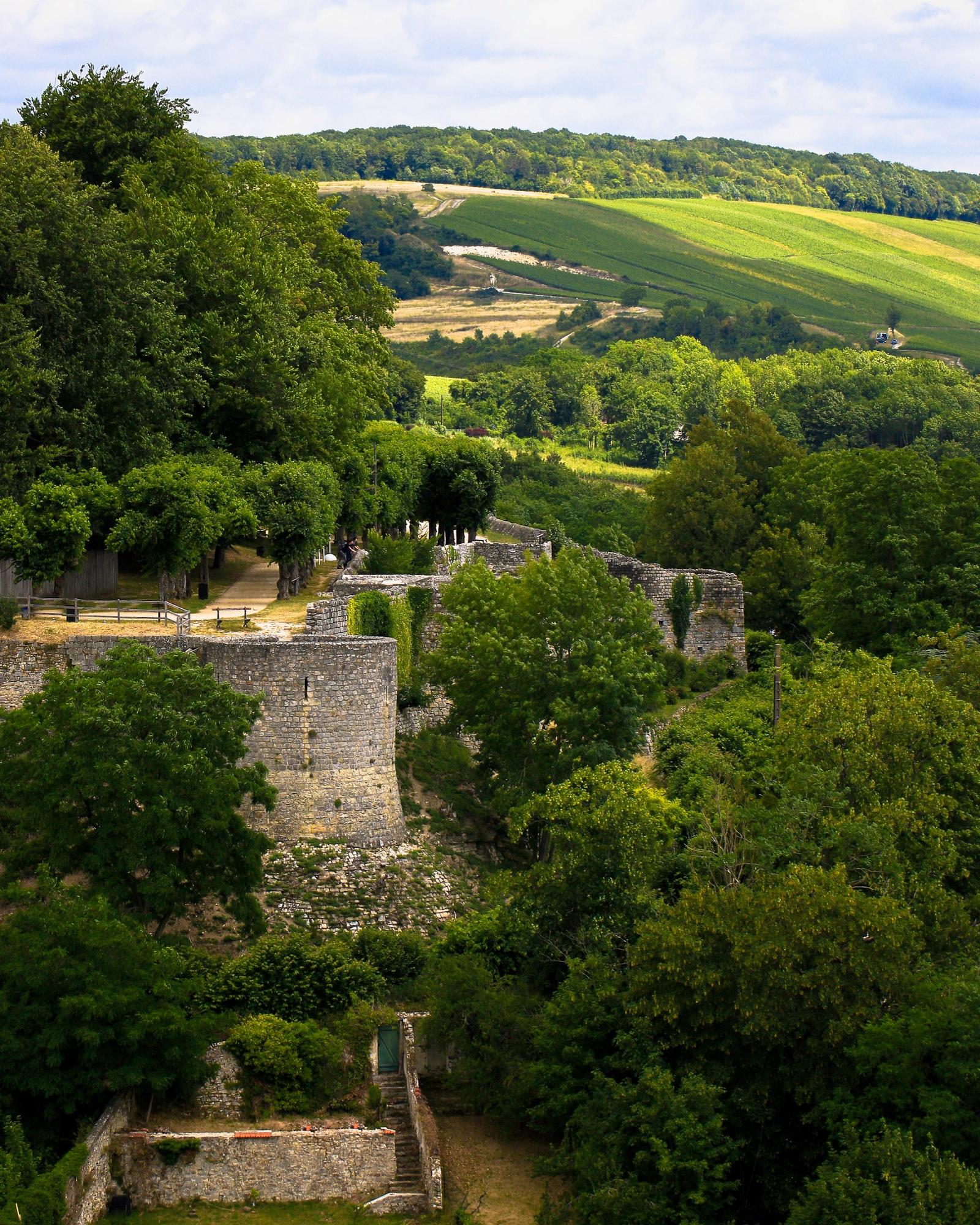 Château-Thierry : le château
