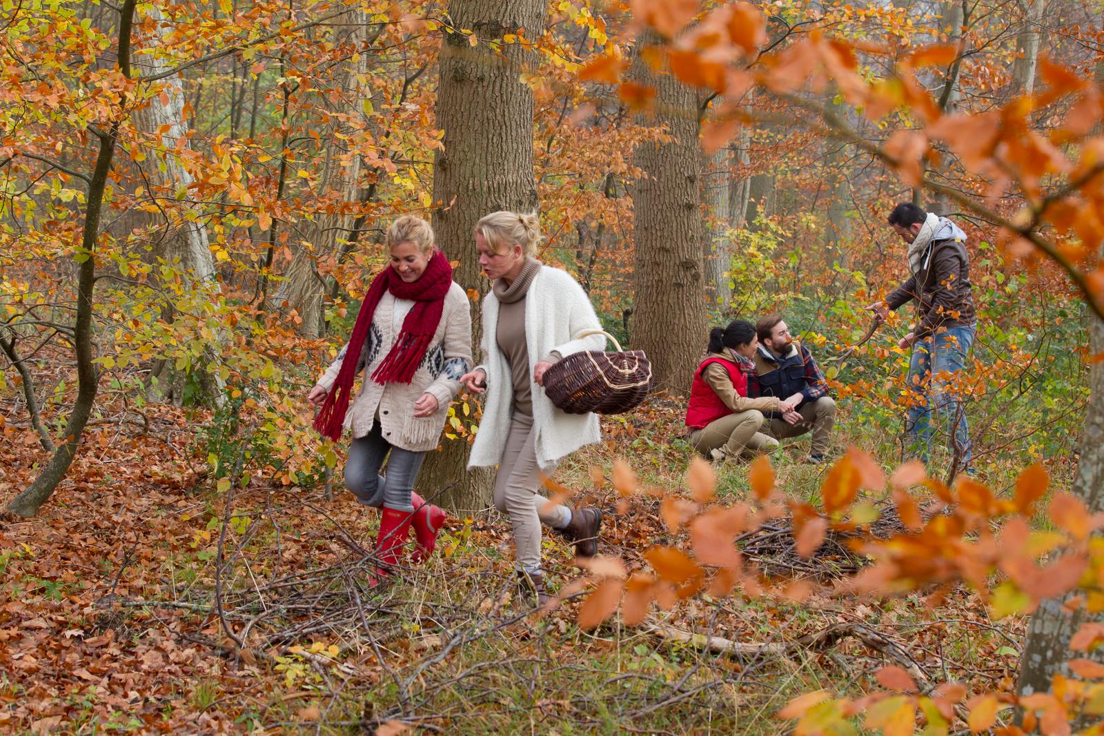 Saint-Jean-aux-Bois : amis en promenade dans la forêt en automne 02