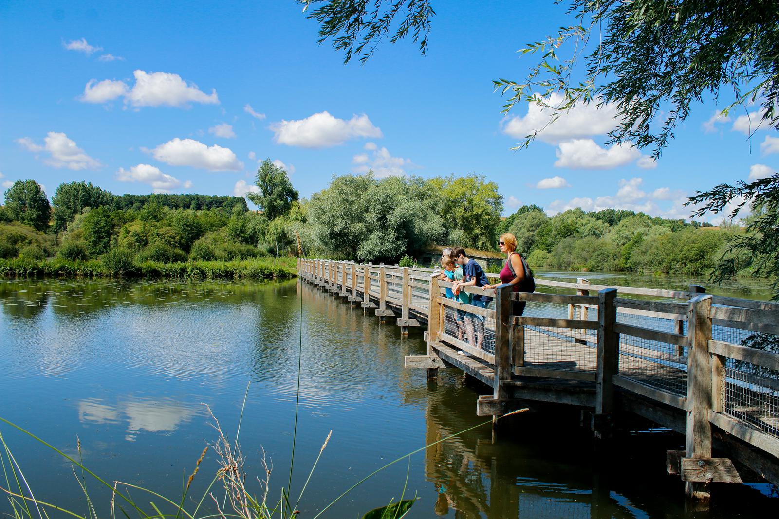 Bourdon : Marais des Cavins  02