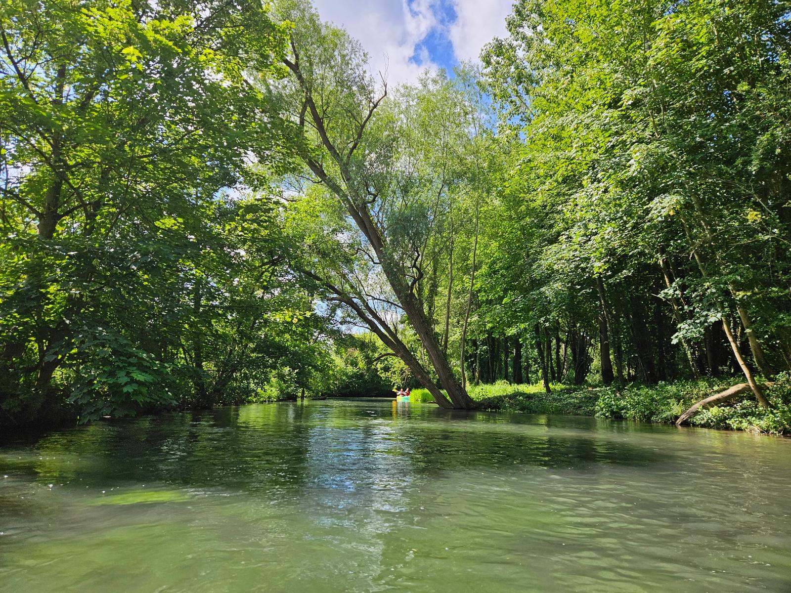 Conty : canoë sur la rivière Selle 05