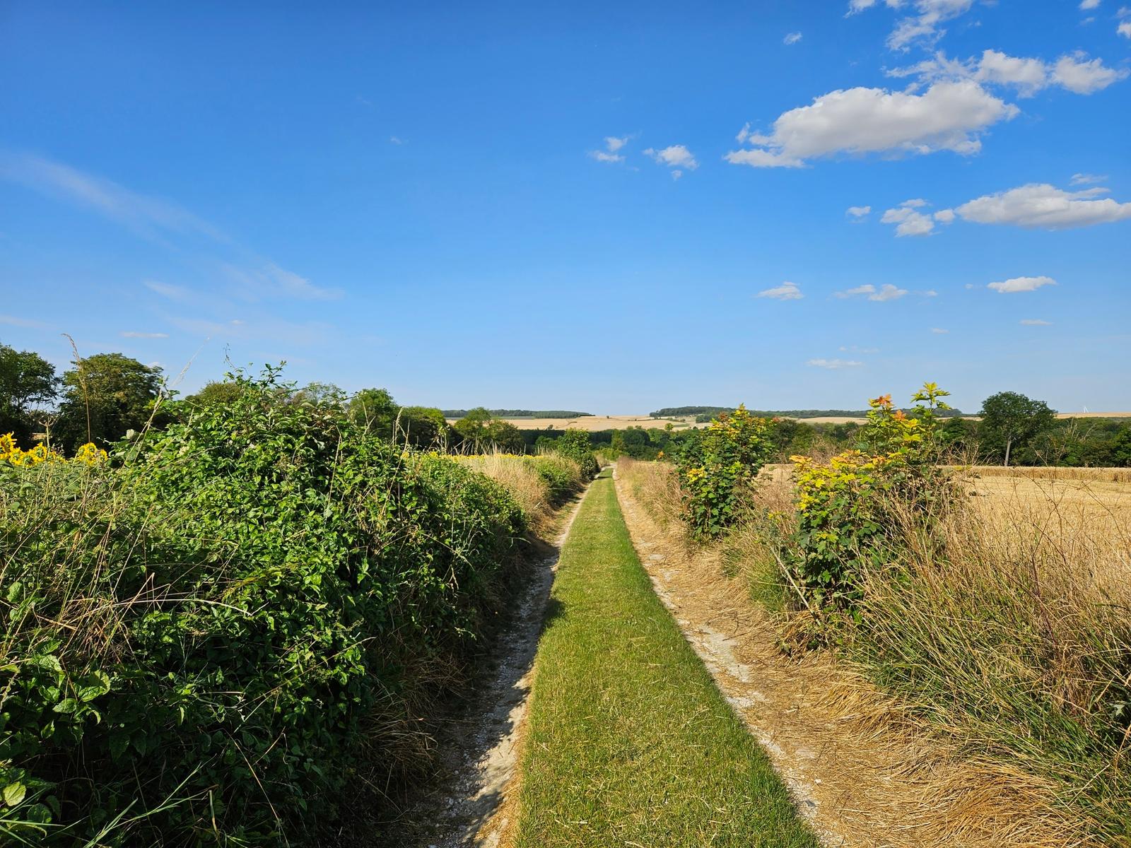 Vallée d'Enfer : chemin de randonnée 02