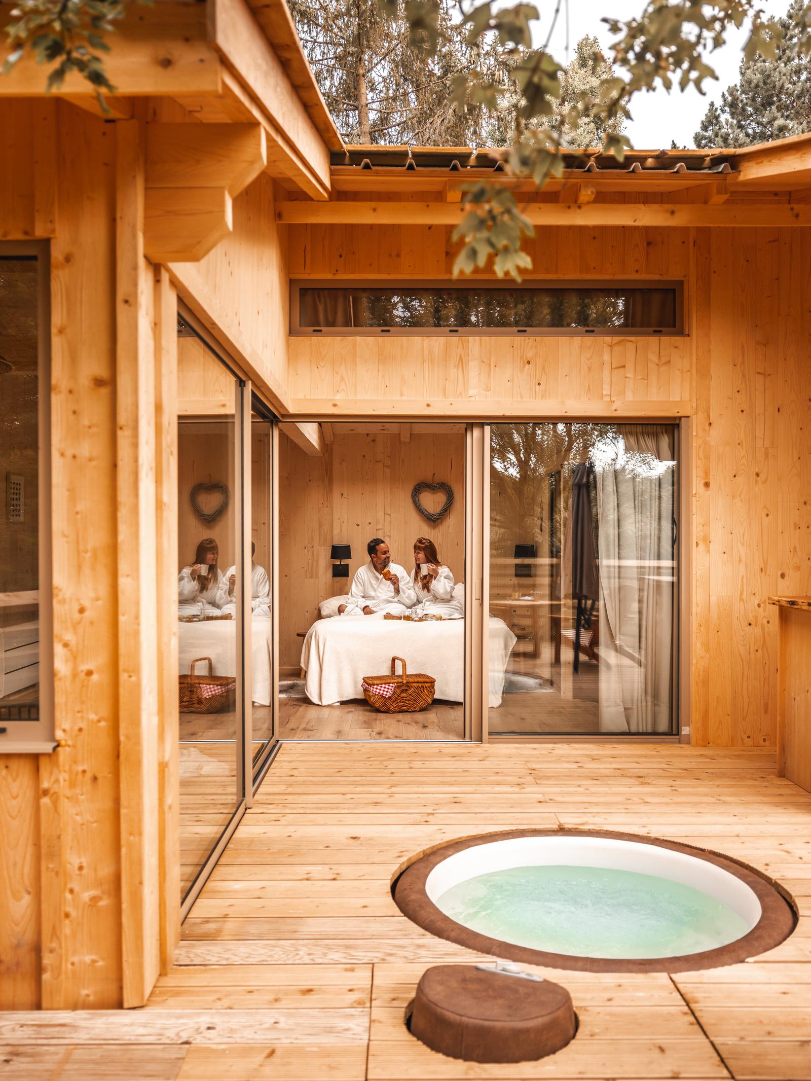 Rosoy-en-Multien : Cabane coup de coeur (le Bois de Rosoy)  06