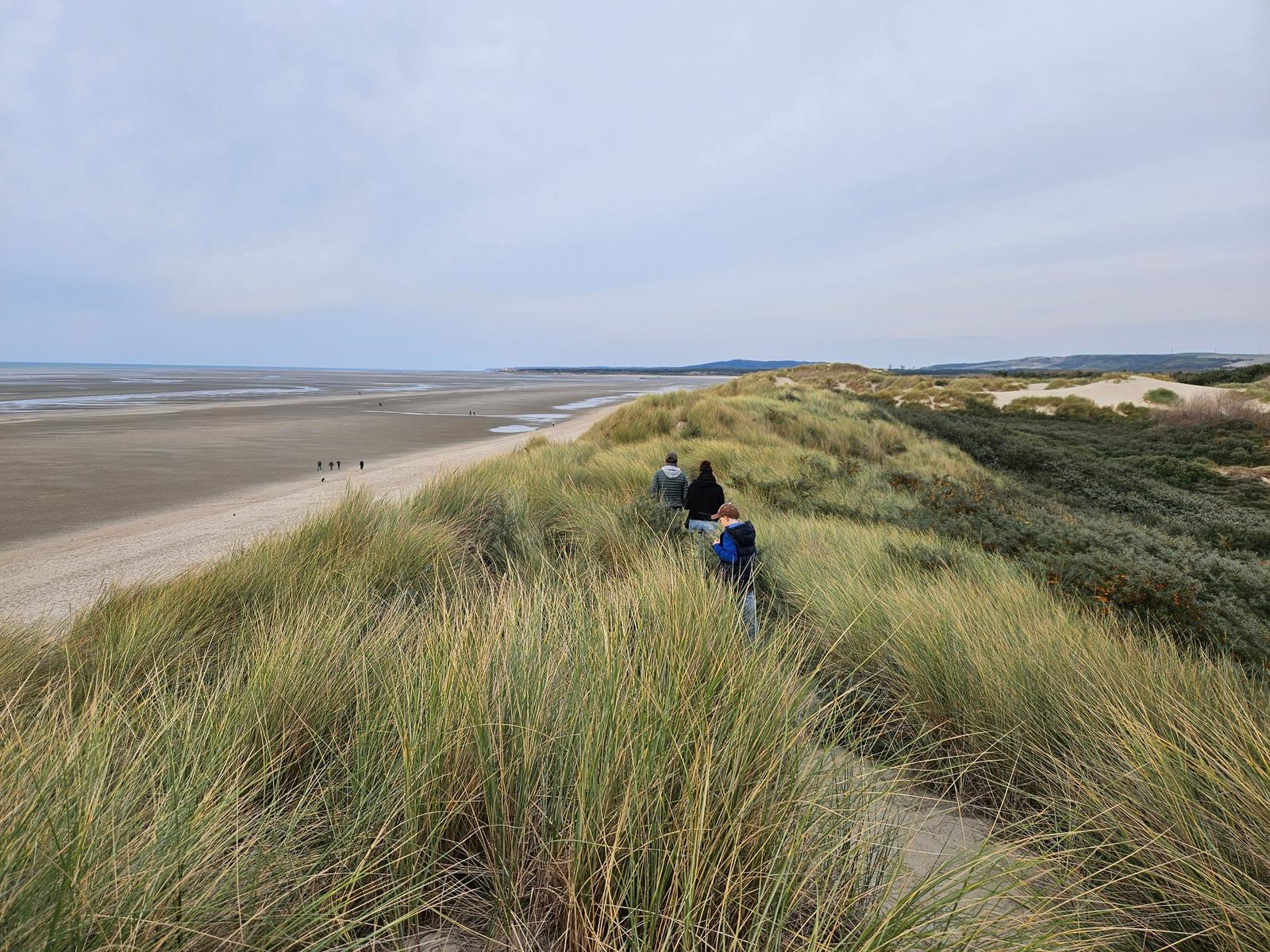 Le Touquet : Plage - Baie de Canche - Dunes 02
