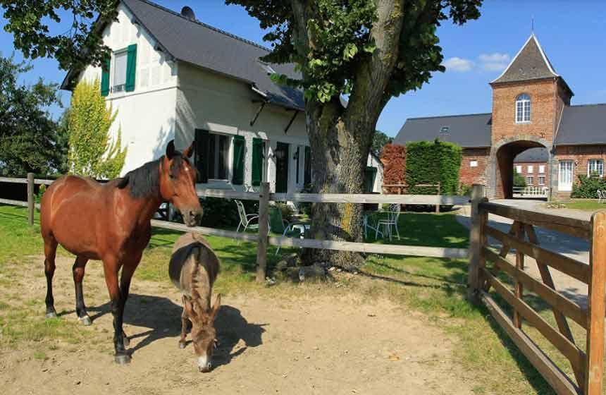 La Neuville-les-Dorengt : Ferme de Ribeaufontaine 10