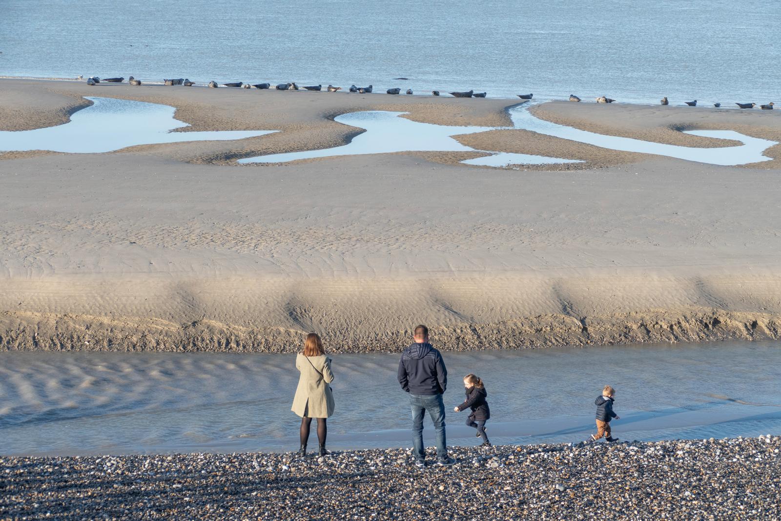 Le Hourdel : famille observant les phoques