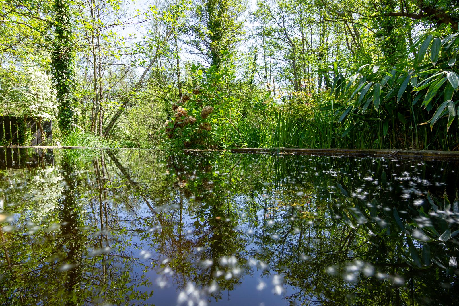 Saint-Quentin-en-Tourmont : Ecolodges en Baie de Somme lodge Forest  13