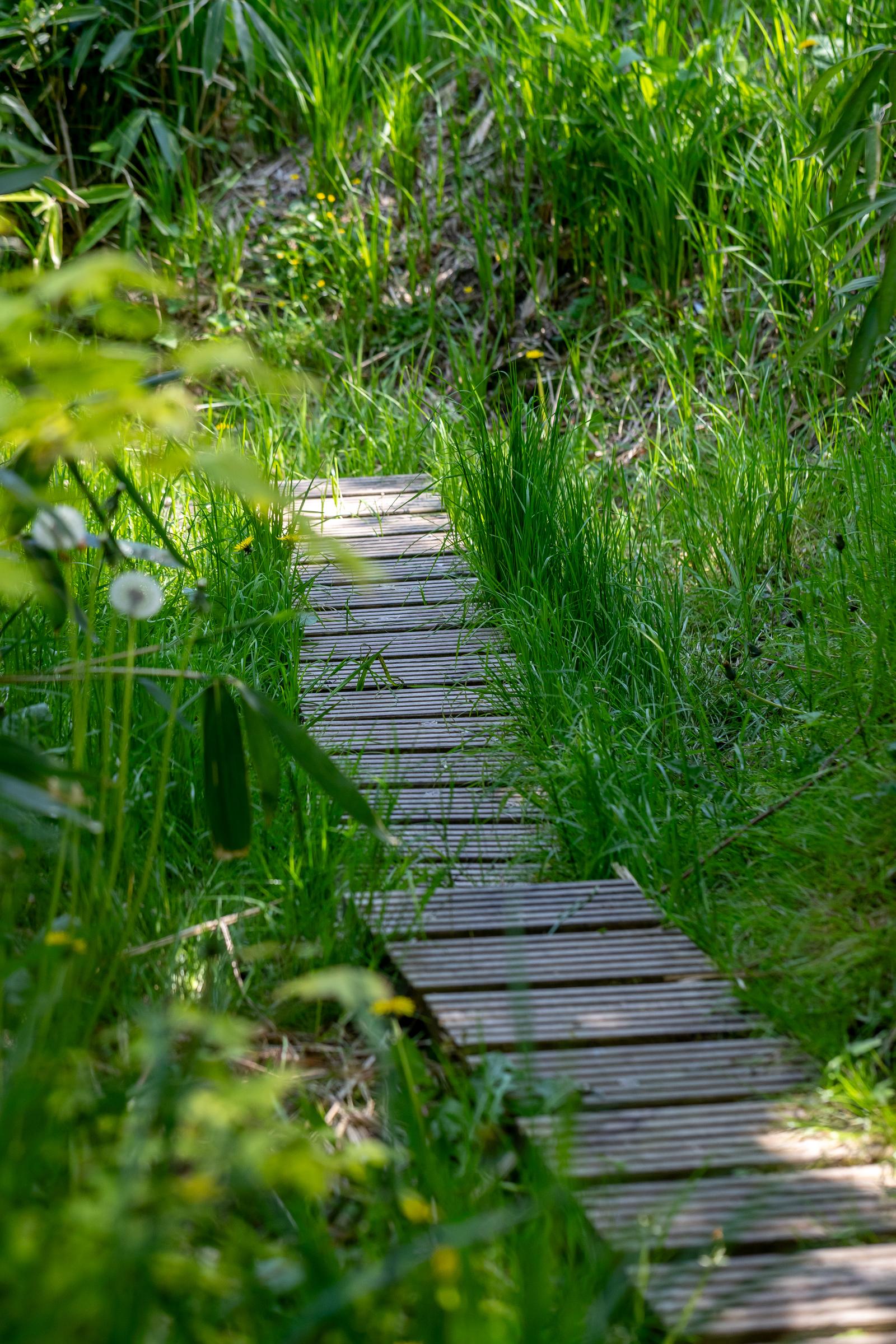 Saint-Quentin-en-Tourmont : Ecolodges en Baie de Somme lodge Forest  22