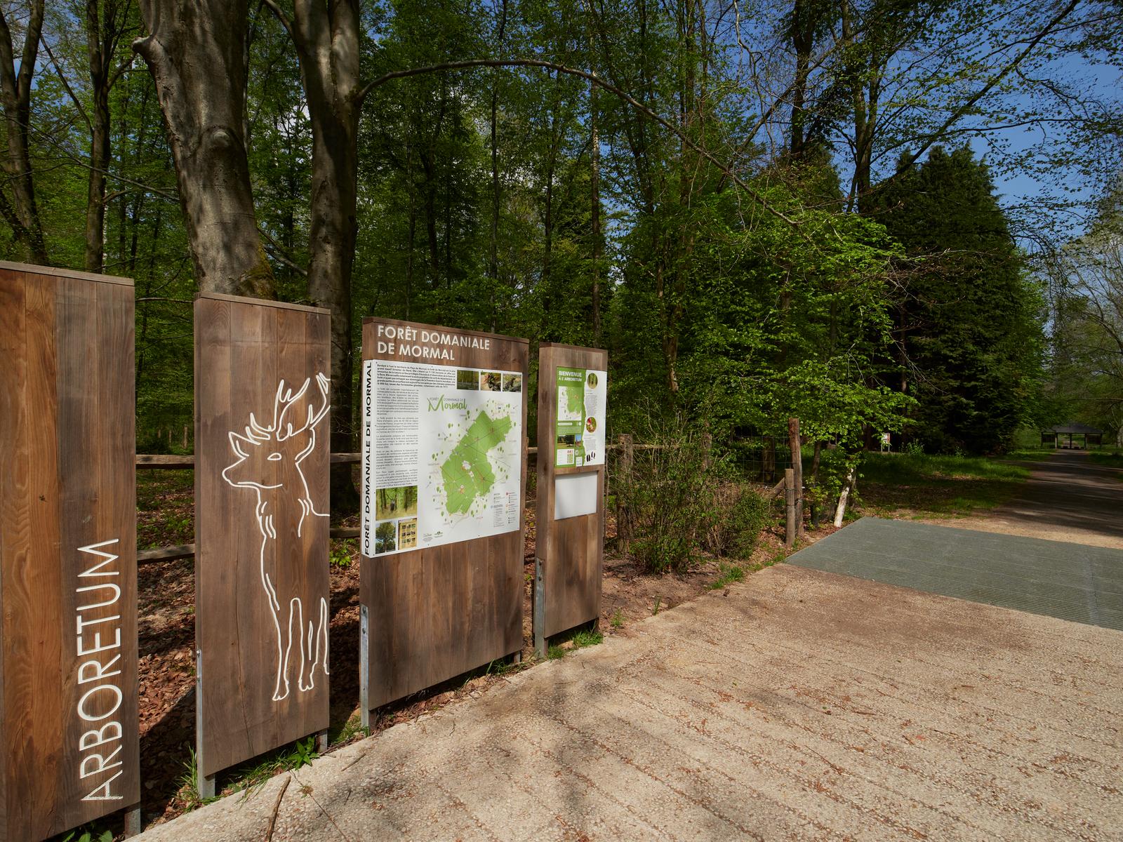 Forêt de Mormal  01