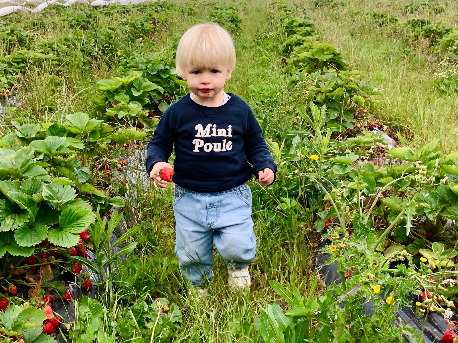 Mareuil-la-Motte : Refuge du Maraîcher 44