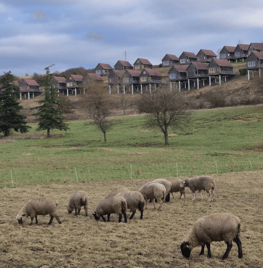 Grand-Laviers : Domaine du Val