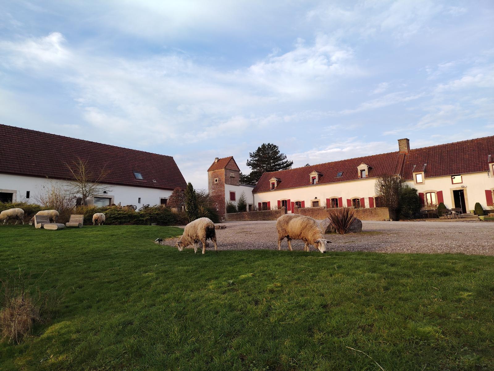Wierre-Effroy : Ecodomaine le Verin - Vue du domaine