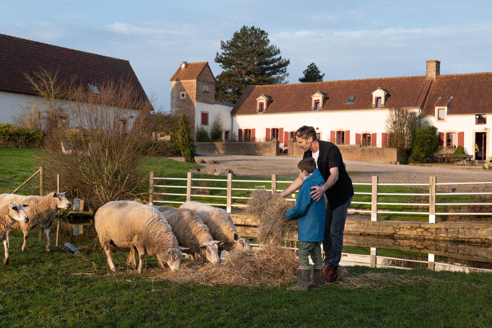 Wierre-Effroy : Ecodomaine le Verin - les animaux du domaine