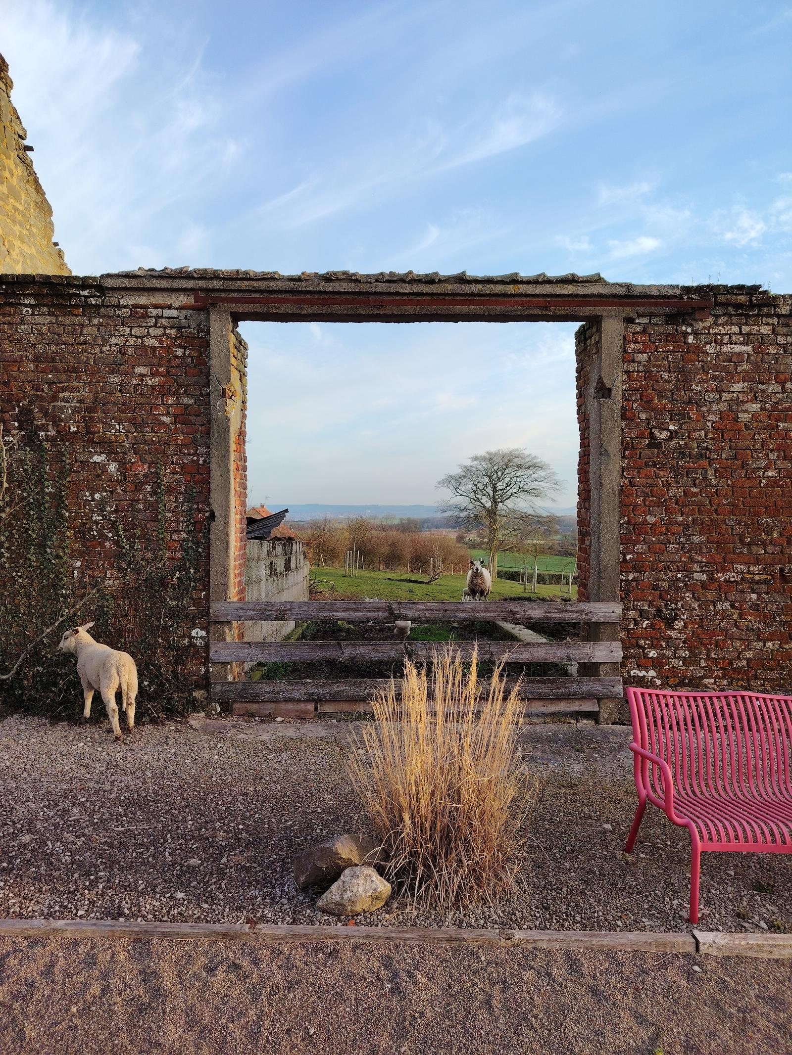 Wierre-Effroy : Ecodomaine le Verin - la cour