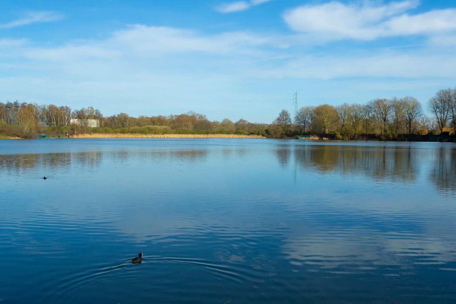 Sin-le-Noble : Etangs du vivier