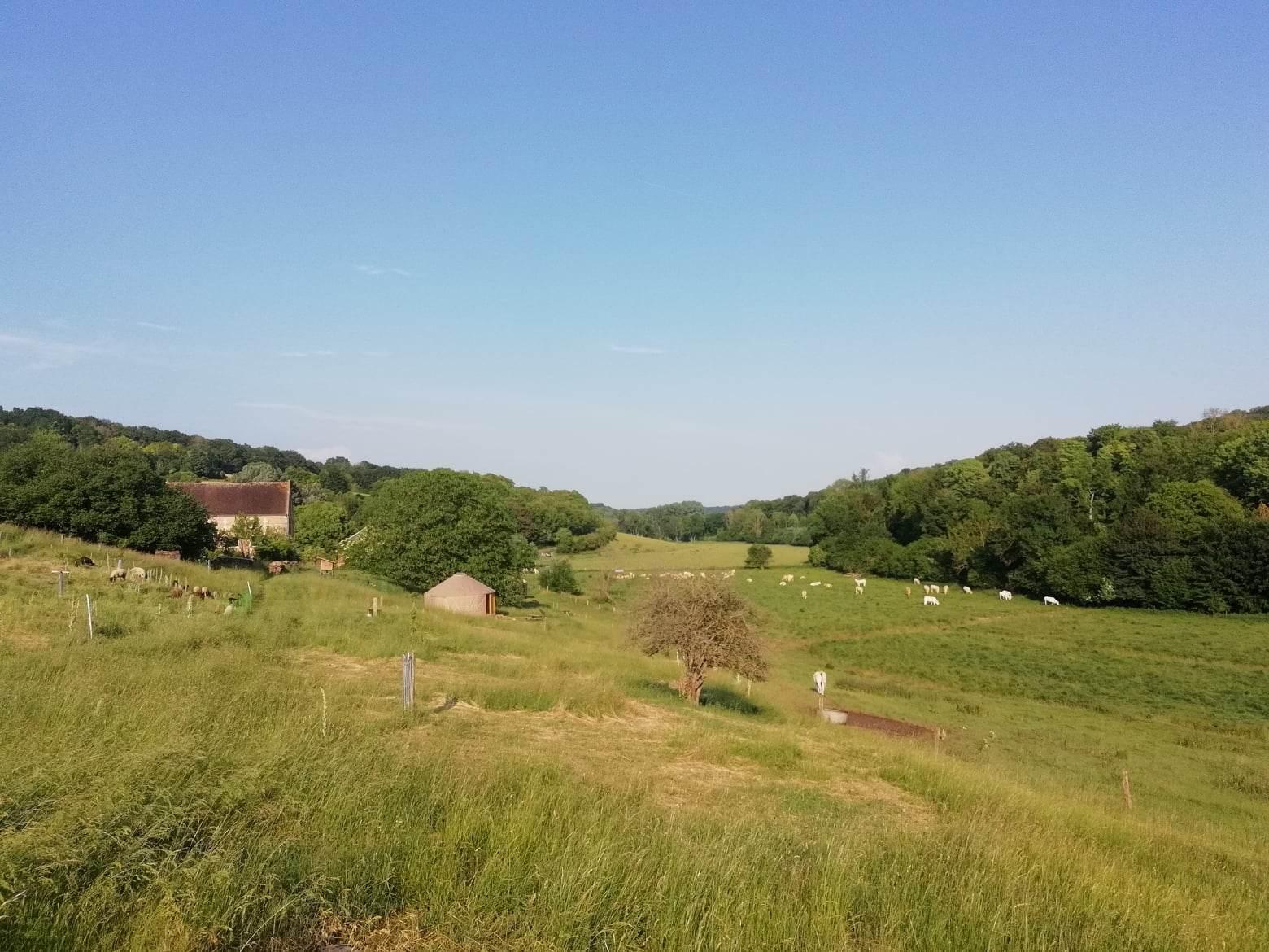 Méréaucourt : Les Reines des Prés 04