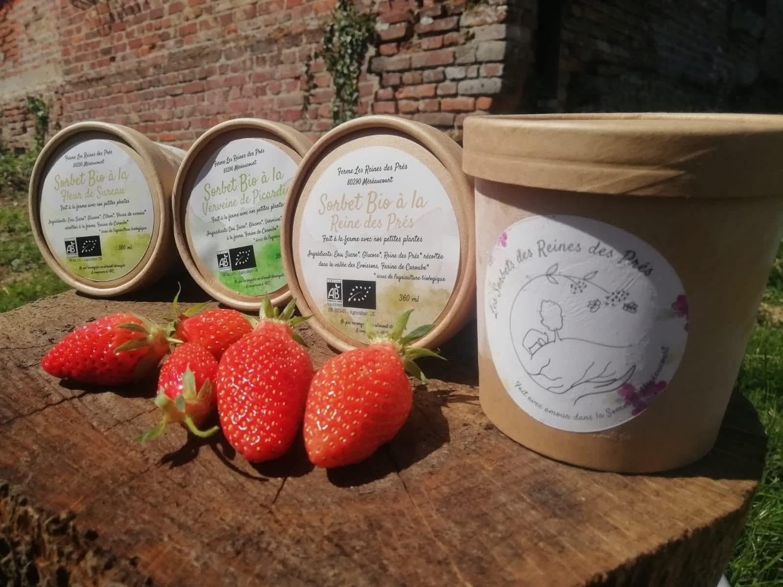 Méréaucourt : Les Reines des Prés 12