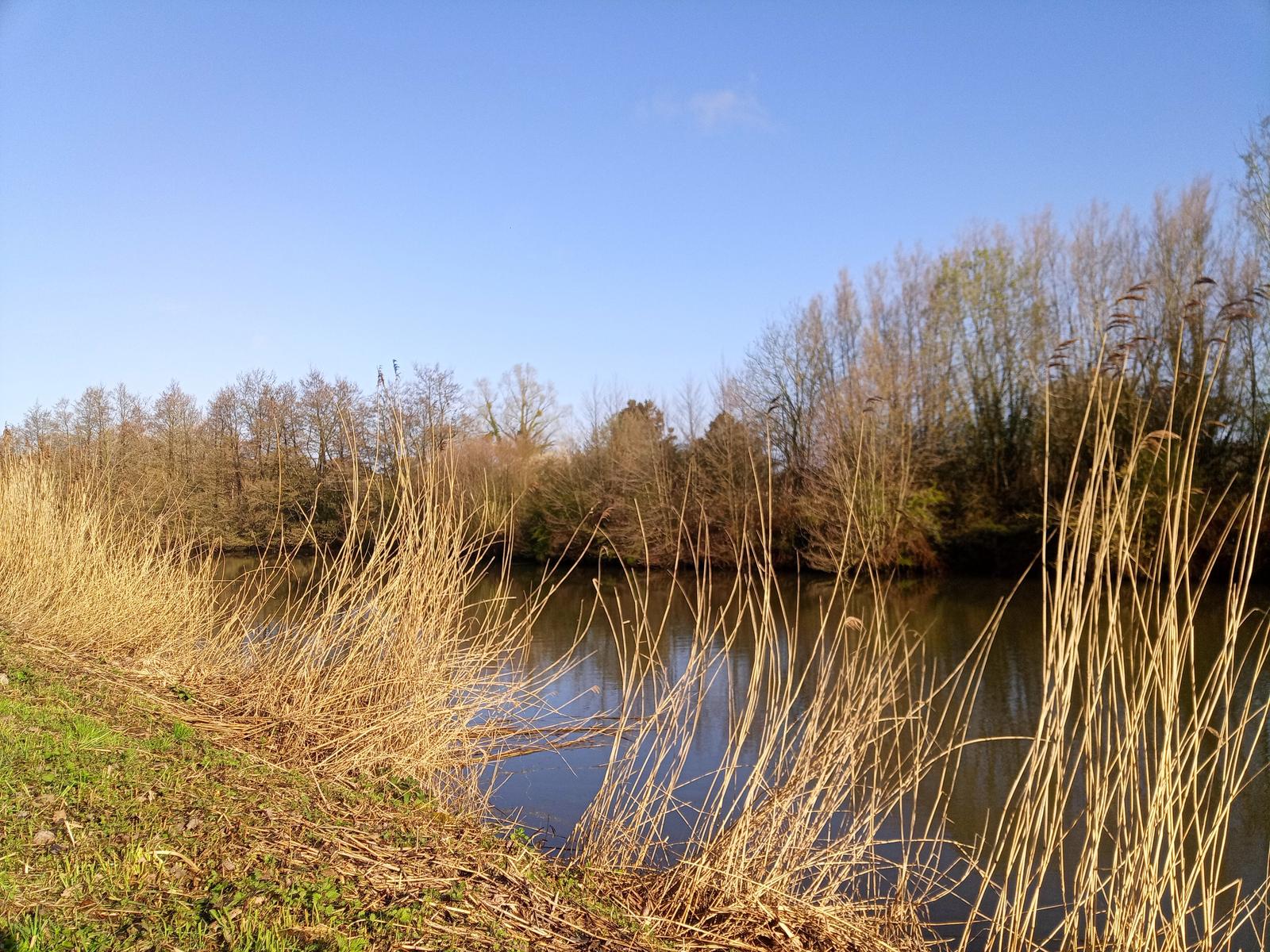Berges de Sambre entre Aulnoye-Aymeries et Landrecies 02