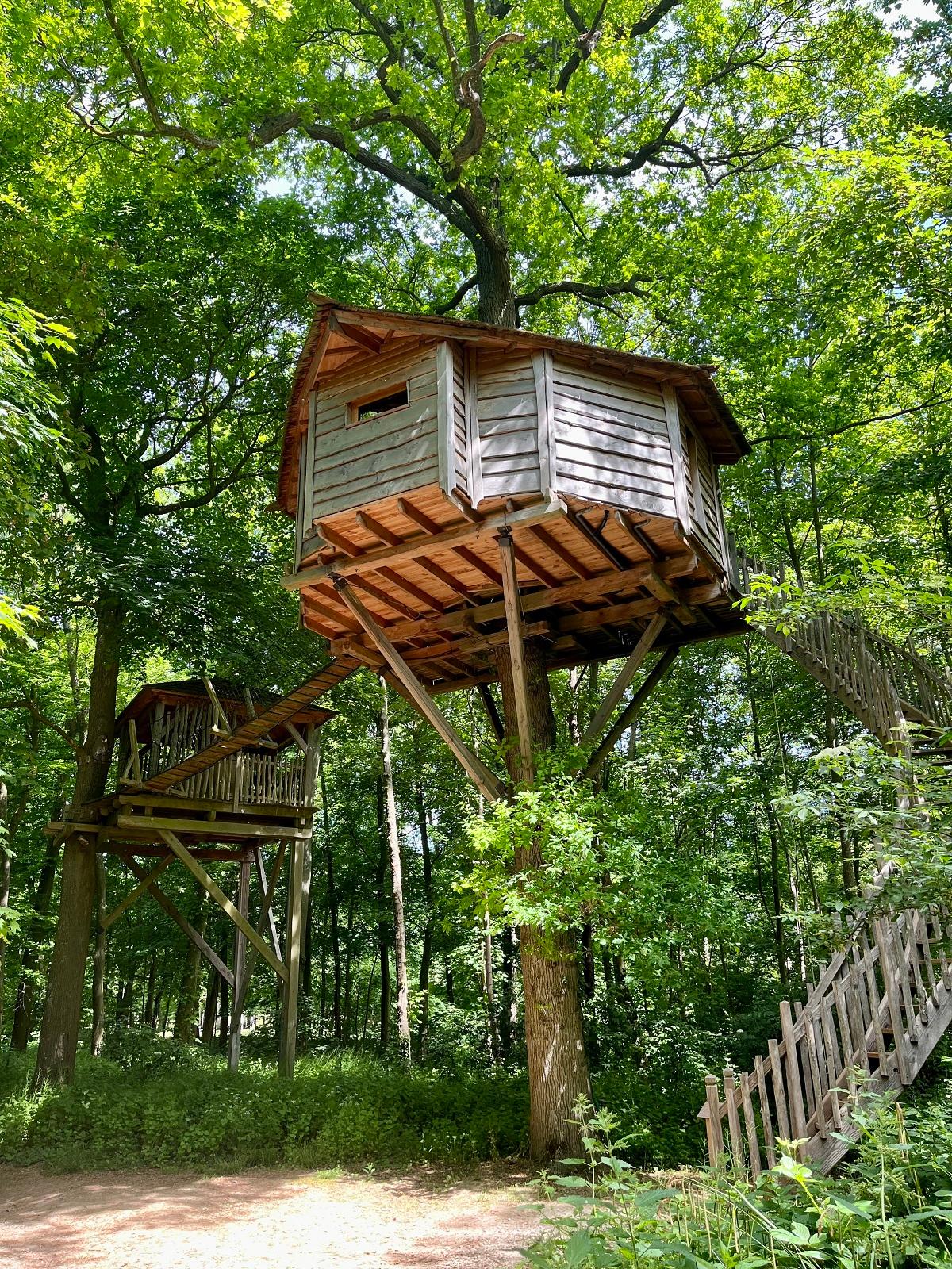-Cabane Spa Cocon - Cabanes des Grands Chênes