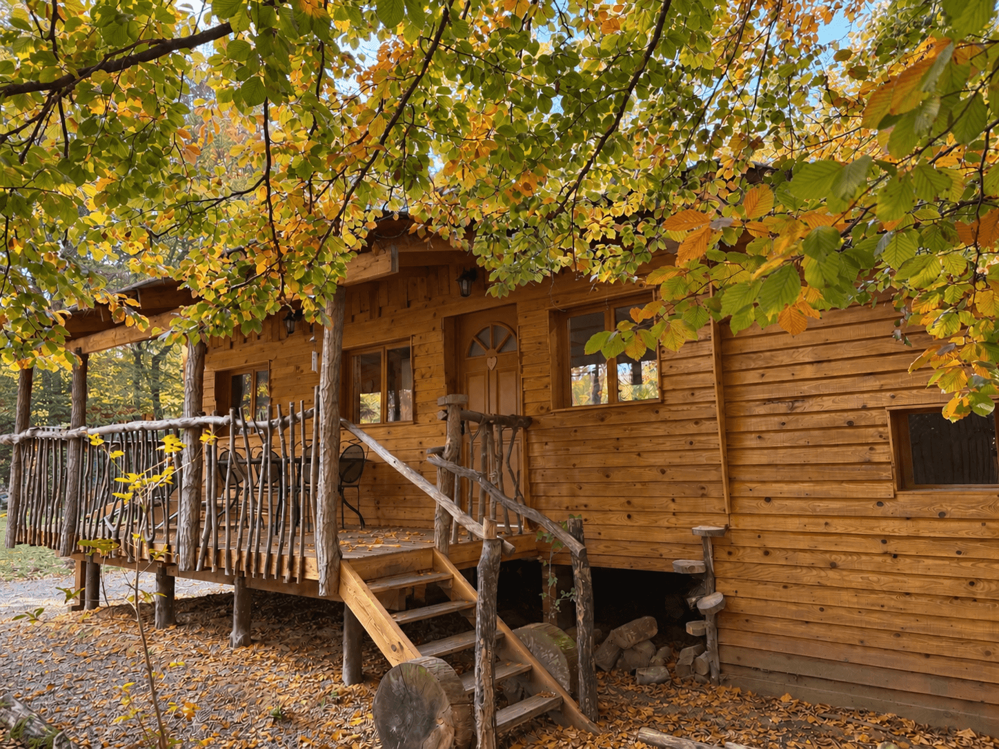 -Cabane Forestière - Camping Coeur de la Forêt Pierrefonds -1
