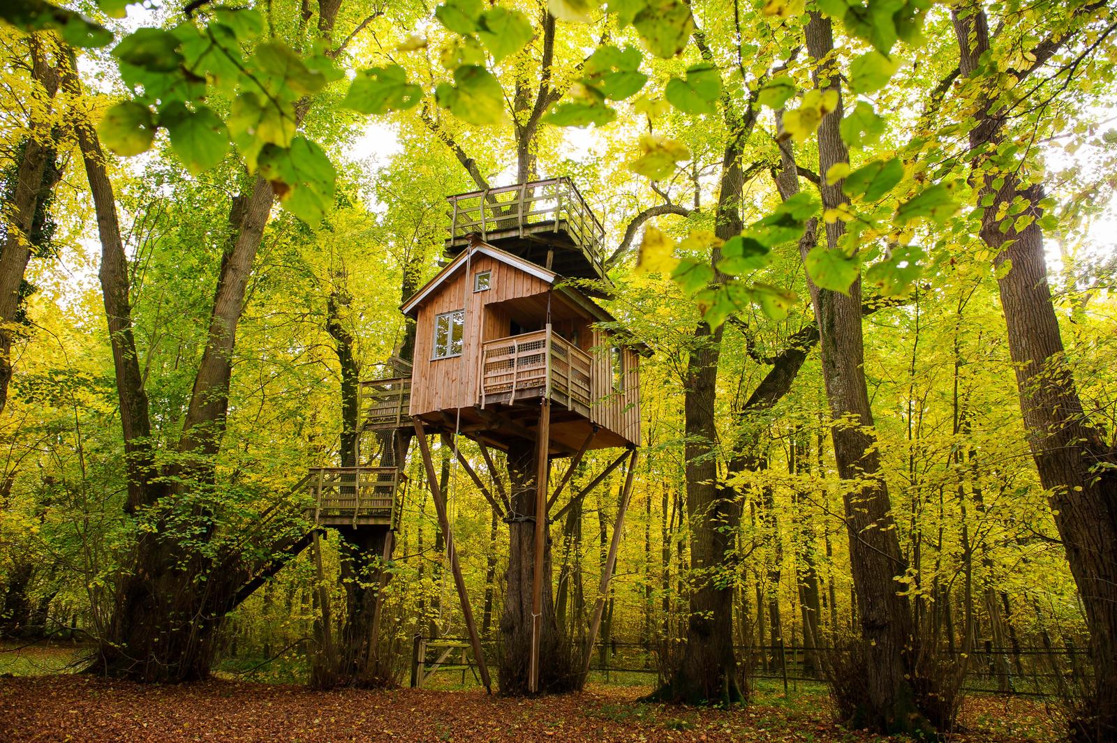 Pronleroy : cabane dans les arbres, les Naturelles Insolites 01