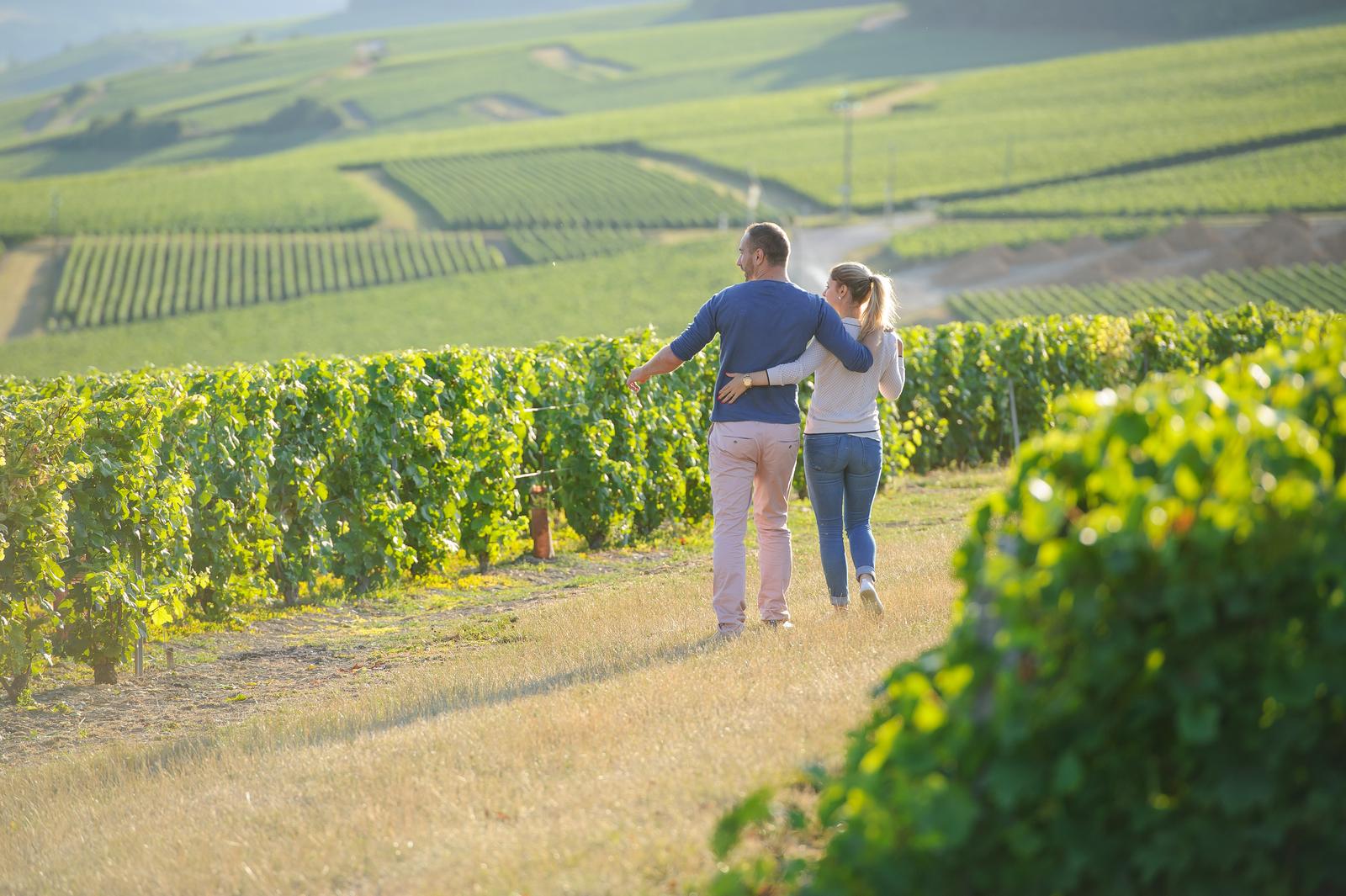 Vignobles Aisne