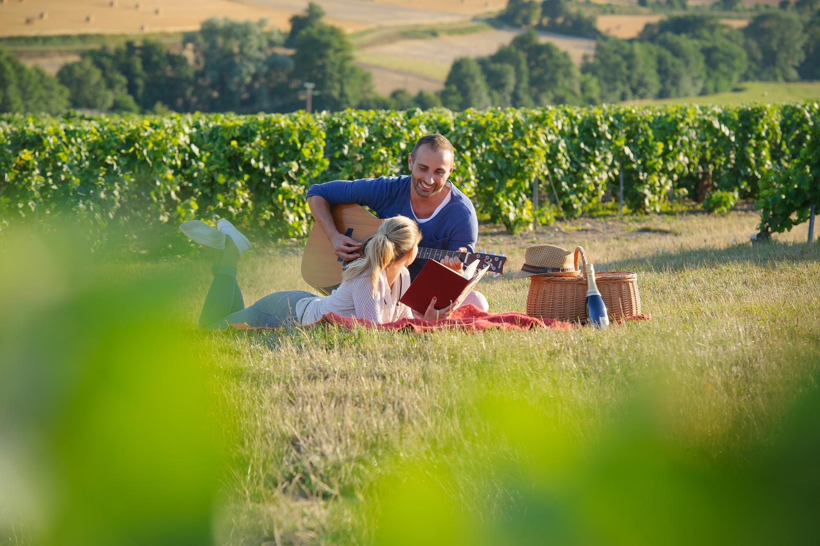Vignobles Aisne