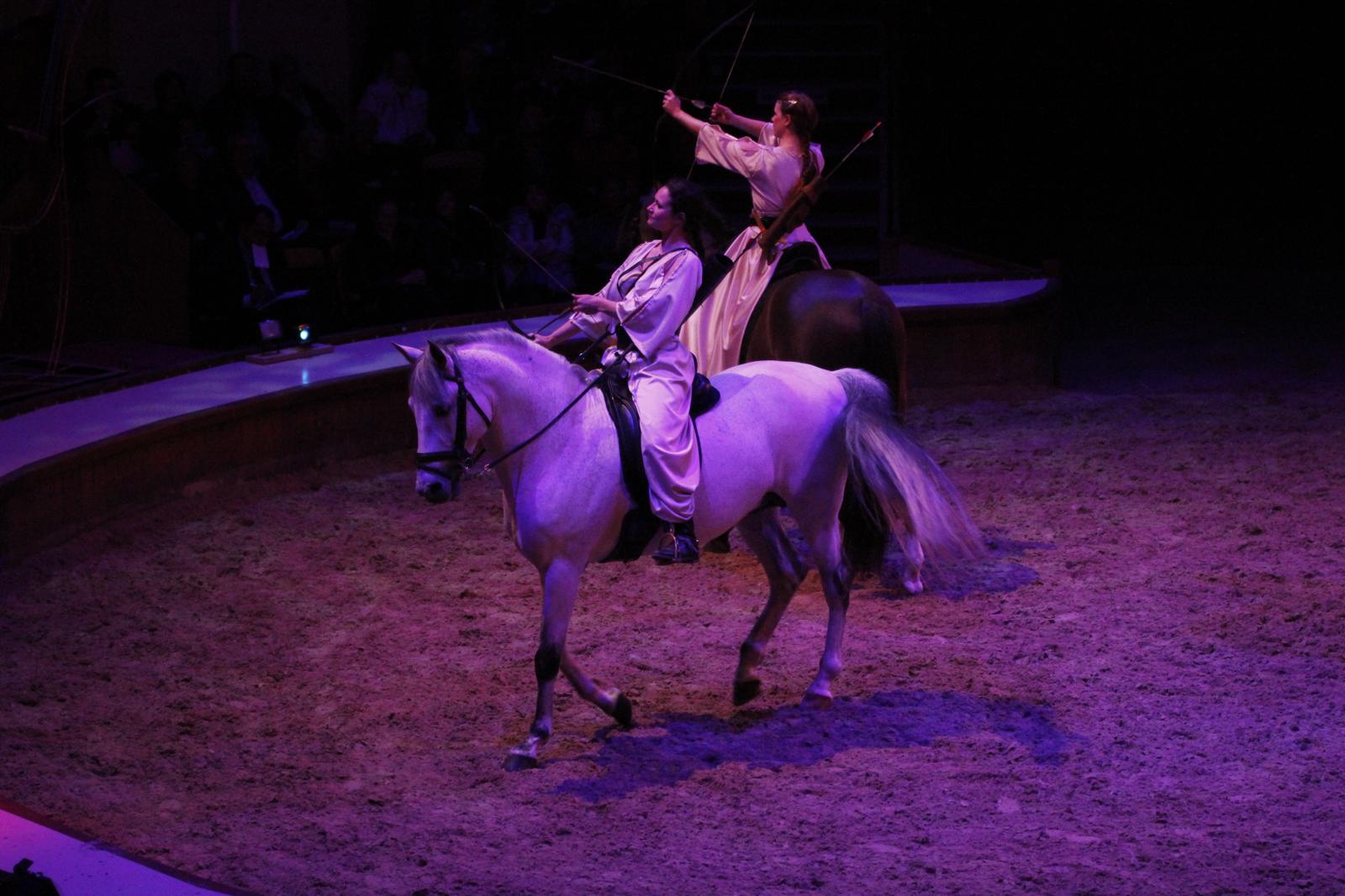 Chantilly : spectacle équestre 03