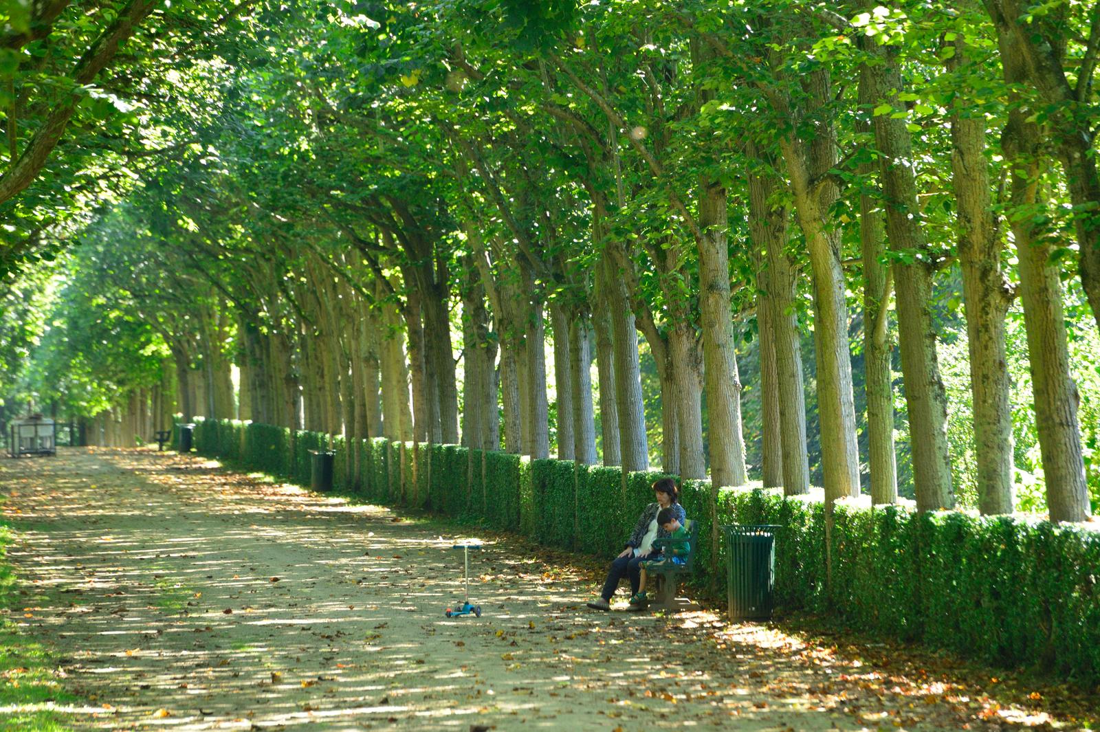 Compiègne : parc du Palais impérial