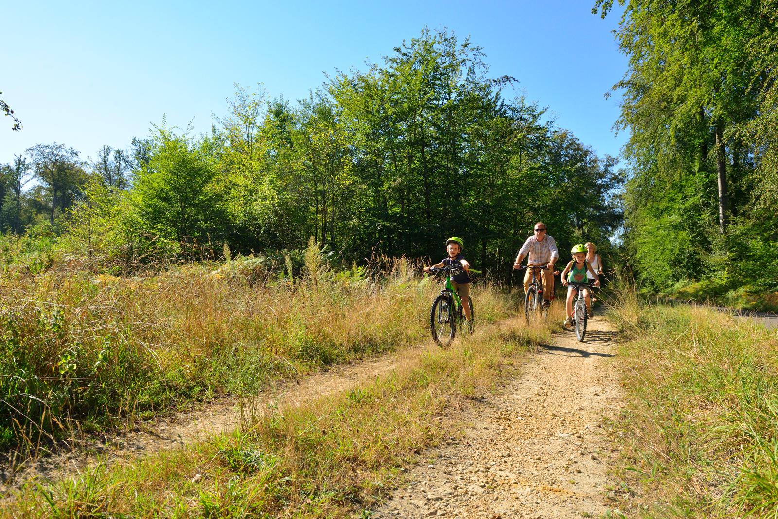 Compiègne : balade à vélo en forêt