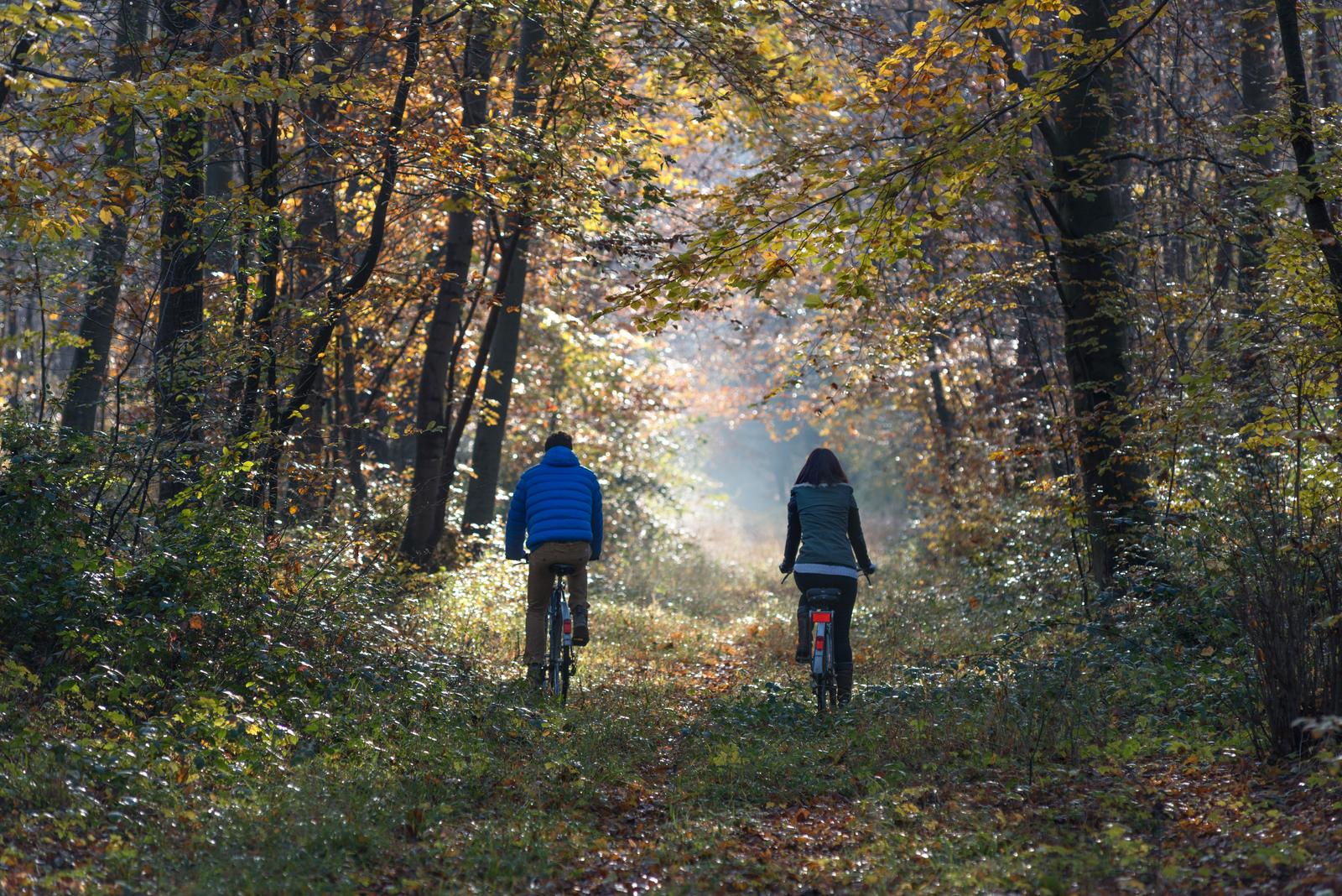 Forêt de Compiègne en automne : couple de cyclistes (10)