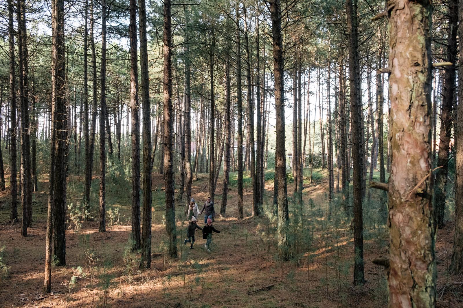 Quend : promenade en famille dans la forêt de pins 04