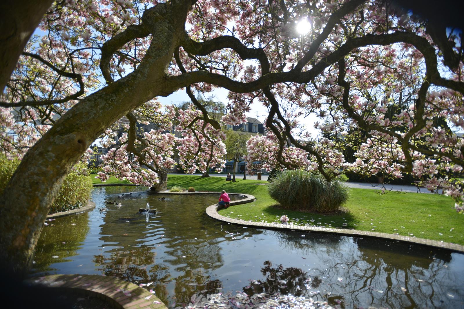 Abbeville : jardin de l'hôtel d'Emonville 01