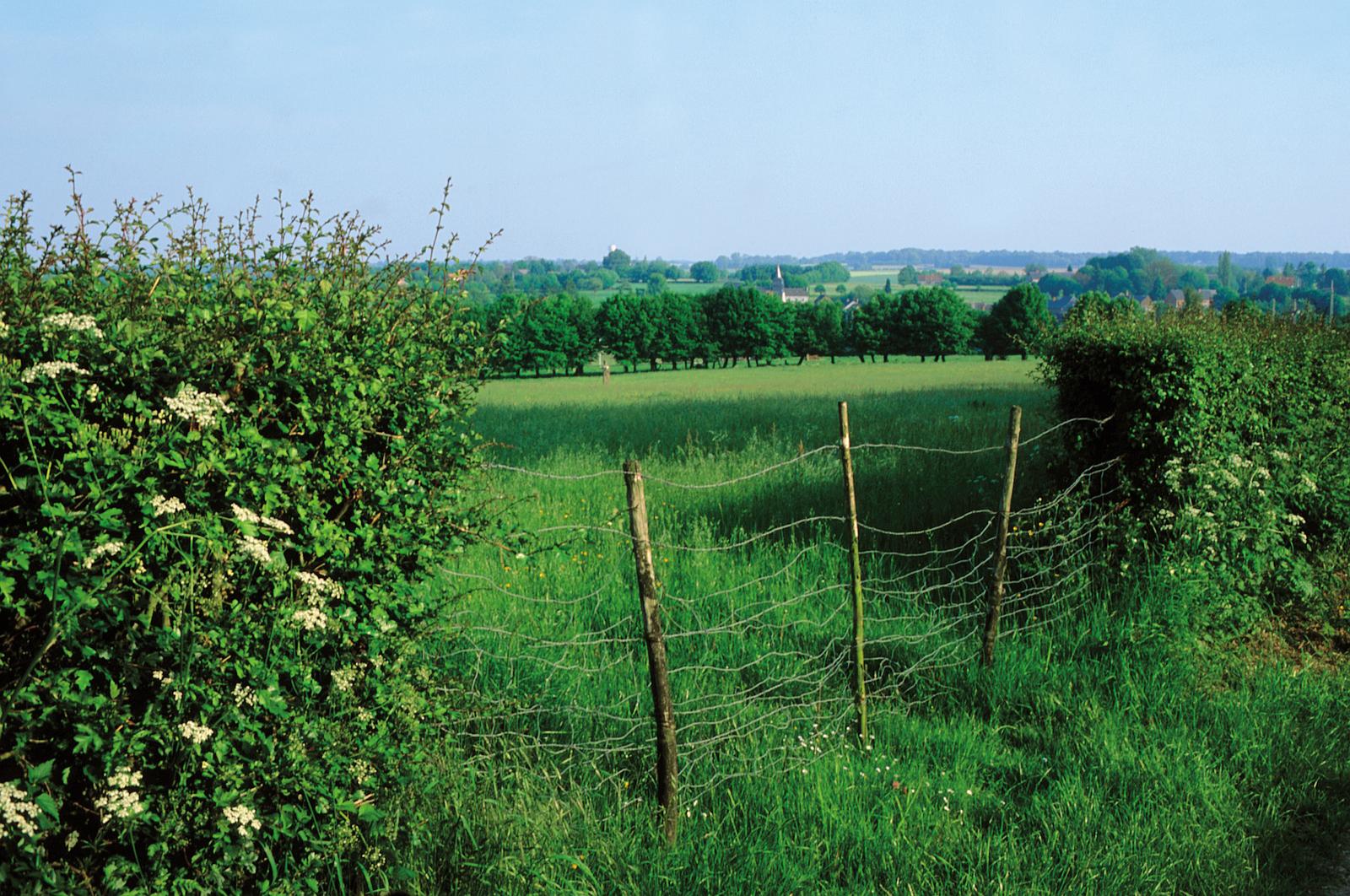 Bocage en Avesnois