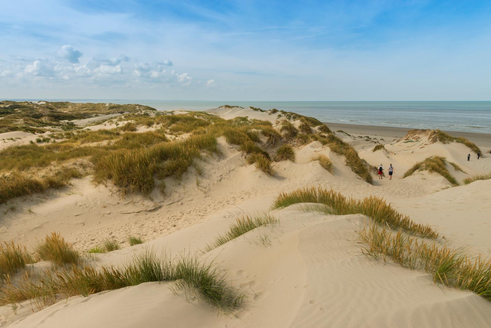 Saint-Quentin-en-Tourmont : sentier d'accès à la mer