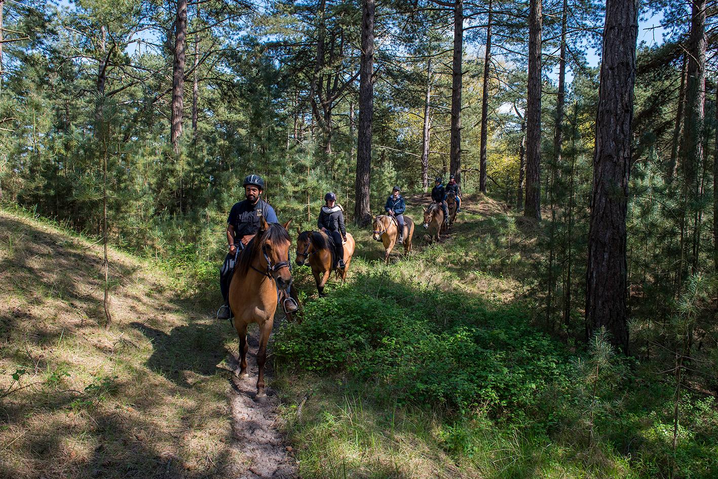 Saint-Quentin-en-Tourmont : bivouac en henson, Espace Equestre Henson-Marquenterre