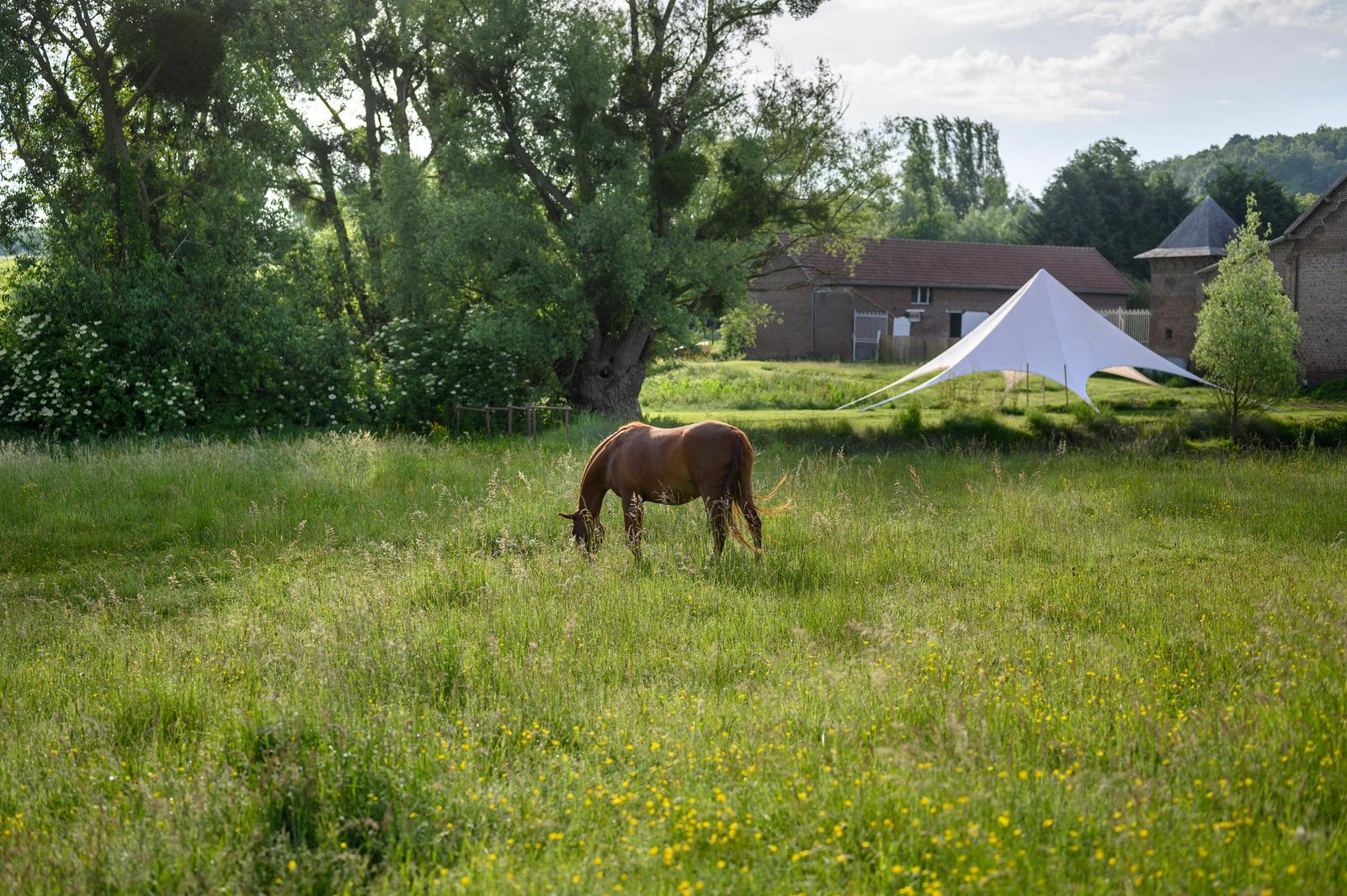 Beaugies-Sous-Bois - Ferme du Tao - 25