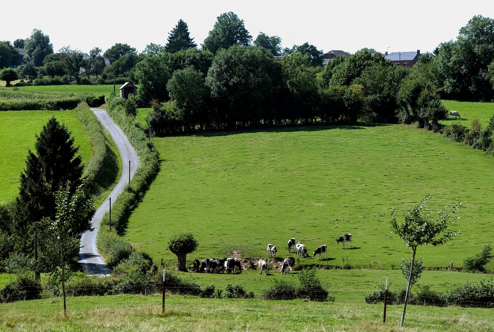 Bocage en Avesnois