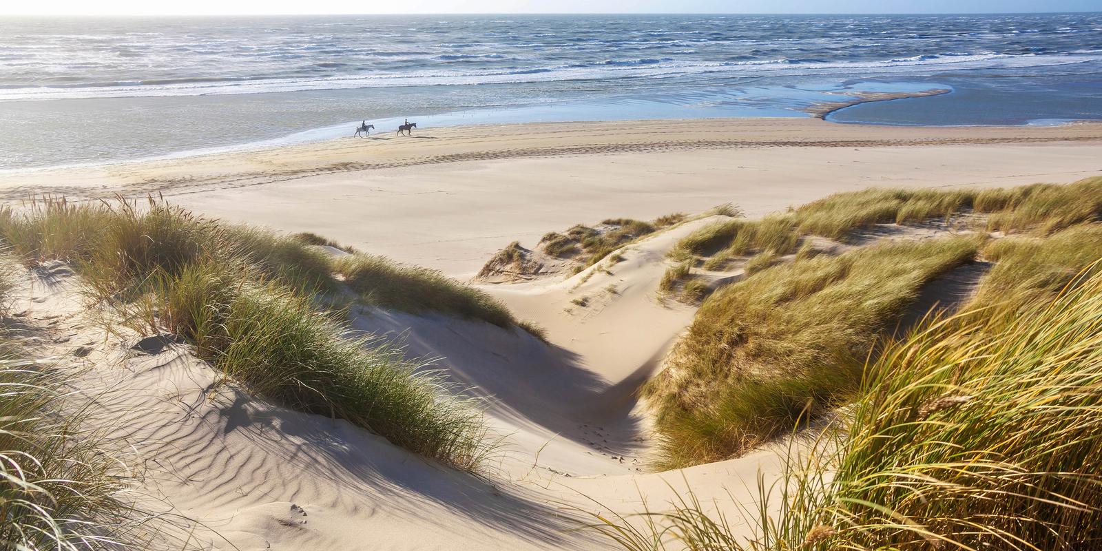 Le Touquet-Paris-Plage : cavaliers sur la plage