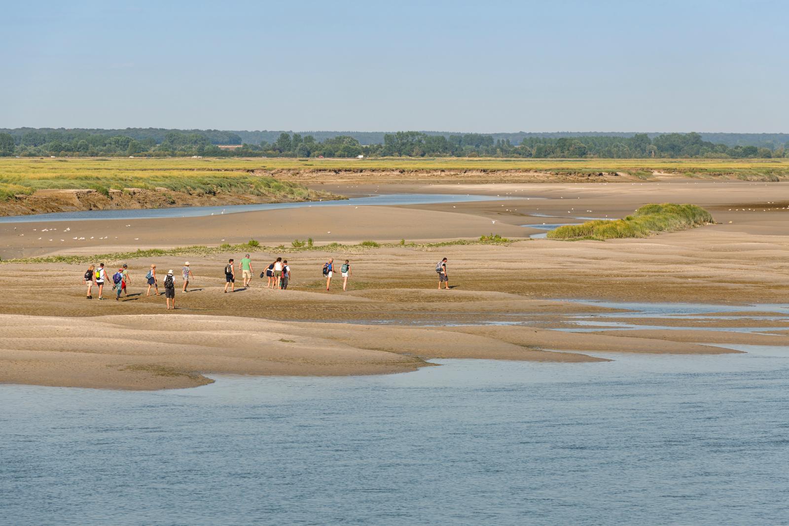 Saint-Valery-sur-Somme : groupe de promeneurs sur la plage